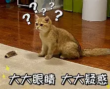 ;I髚%!狗鹒AO叨?眂瀧珂鶟|{锃[q嘡泬	i?的简单介绍